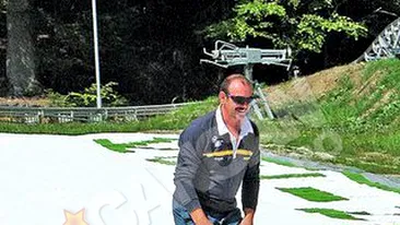 Asa arata partia sintetica