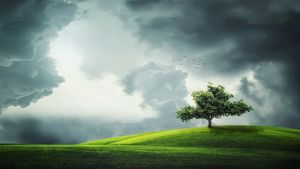 Temperaturi fără precedent! Cum va fi vremea în Săptămâna Mare