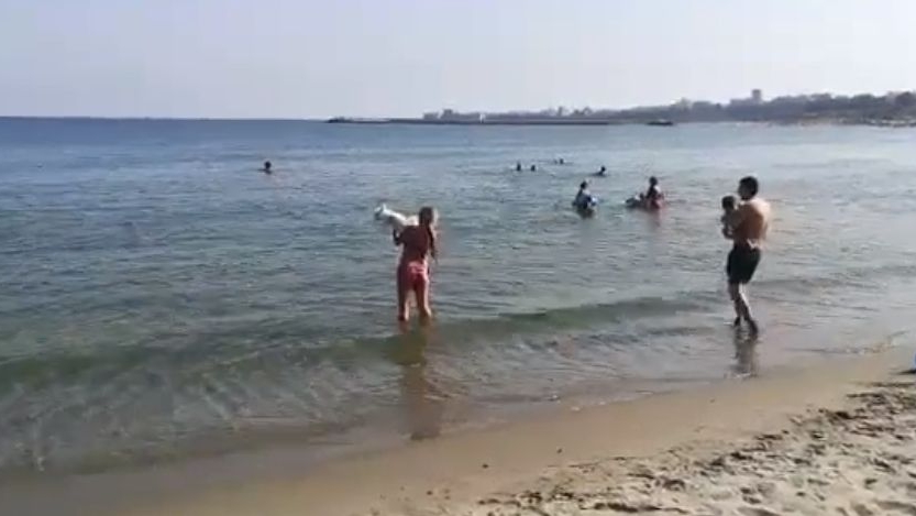 Tânără, surprinsă în timp ce-și curăța câinele de excremente în apa mării, după ce animalul și-a făcut nevoile pe plajă!