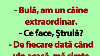 BANC | Bulă și câinele extraordinar