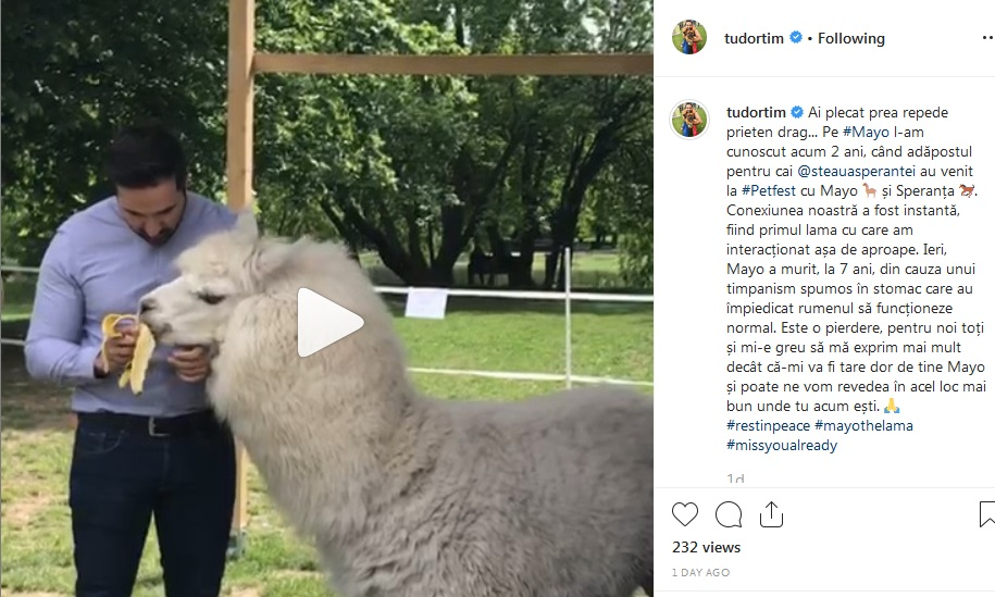 Tudy deplânge moartea unei lame