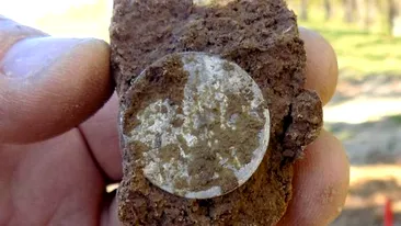 Tezaur din Evul Mediu, descoperit în Zalău. Ce conținea comoara