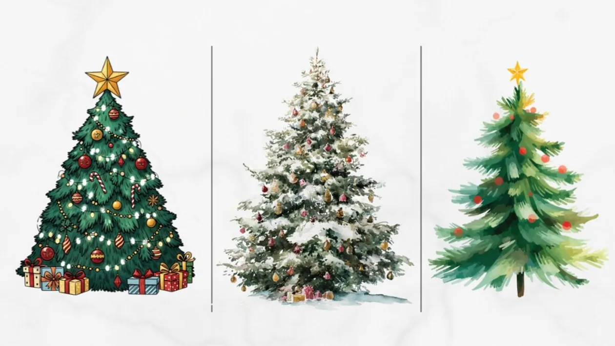 Cel mai tare test psihologic de Ajun | Alege unul dintre cei 3 brazi și îți vom spune cine ești, de fapt