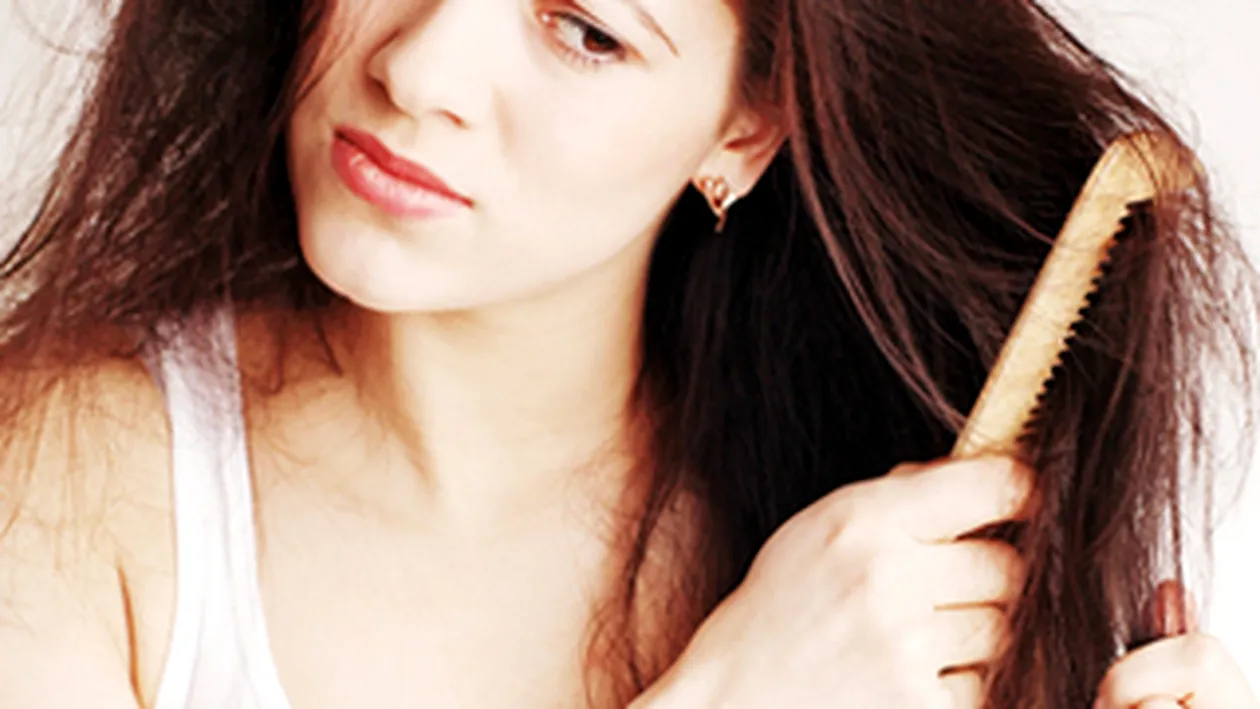 In Spania s-a deschis primul salon de... despaduchere!