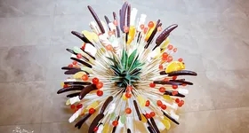 Galerie foto - poza 1