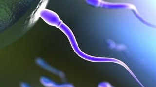 S-a descoperit tratamentul pentru barbatii infertili! Japonezii au creat sperma artificiala!