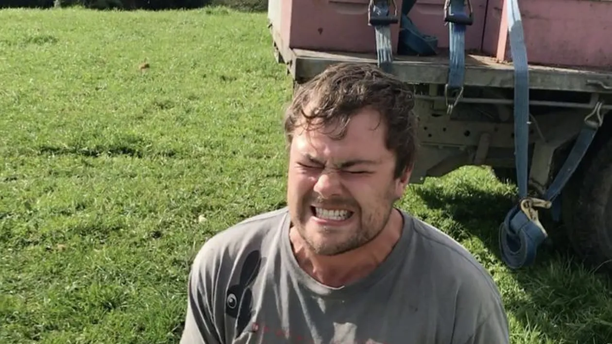 S-a pus cu fundul pe un cuib de albine pentru bani. Ce s-a intamplat cu barbatul acesta dupa ce s-a ridicat…