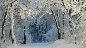 Prognoza meteo, miercuri, 17 februarie. Ziua va fi frumoasă, iar temperaturile vor crește