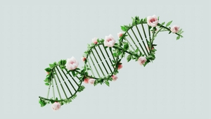 Cât din durata vieții este determinată de gene? Un nou studiu schimbă perspectiva