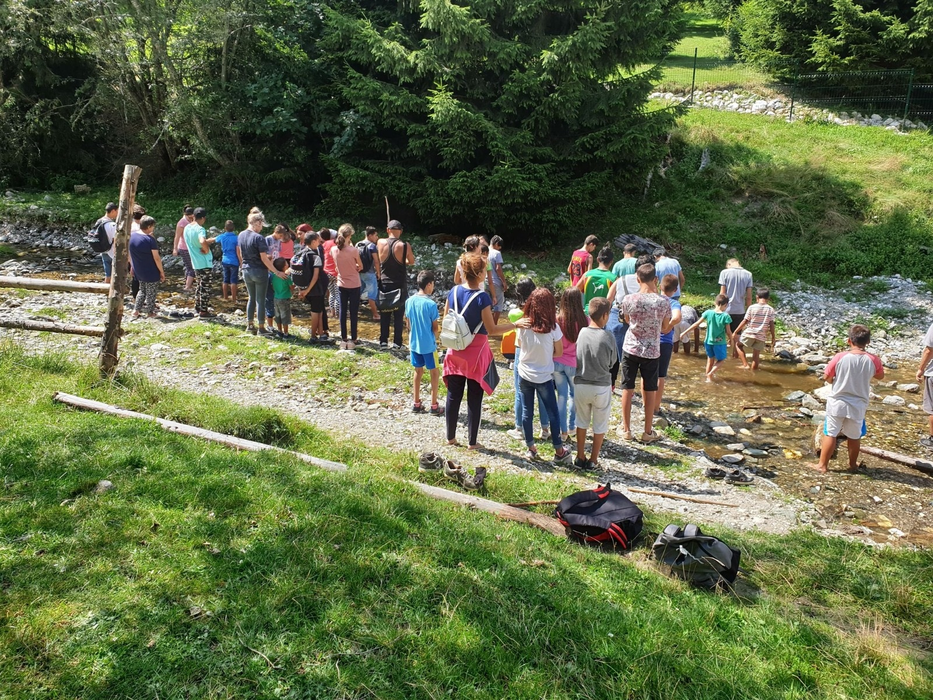 Copiii sunt foarte încântați de excursiile organizate cu ajutorul "sufletiștilor"