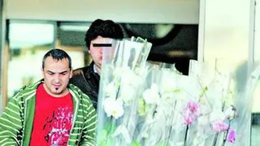 Nu se mai uita la bani de cand e tatic. Damalan renoveaza ca un barosan