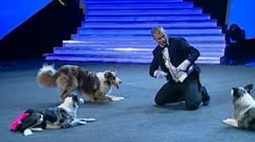Ce a ajuns să facă Bruno Icobeț, câștigătorul sezonului 3 Românii au Talent, de pe Pro TV și ce s-a întâmplat cu câinii care i-au adus 120.000 de euro