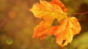 ANM a emis prognoza meteo pentru septembrie. Ce vreme vom avea în prima lună a acestei toamne