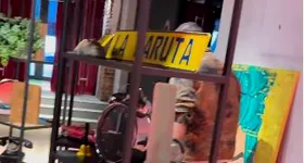 Galerie foto - poza 3