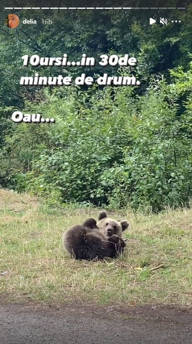Ce a pățit, recent, Delia când a mers pe Transfăgărășan! ”Riscurile sunt foarte mari”