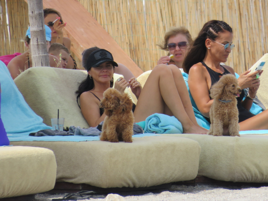 Adelina Chivu, vacanţă la Mamaia cu persoane dragi (Foto: CANCAN.RO)