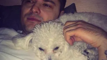 Adelina se marita, Varciu s-a asezat si el, la casa lui! Uite cum se comporta cu noua iubita, cand crede ca nu il vede nimeni