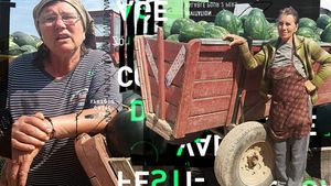 Cultivatorii din Dăbuleni au ajuns să vândă celebrii pepeni la prețuri de nimic. „Pentru noi, ţăranii, munca e de ocnaş..."