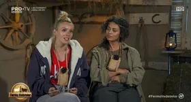 Galerie foto - poza 2