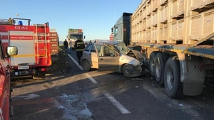 Trei români au fost răniţi grav într-un accident din Italia!