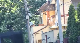 Galerie foto - poza 4