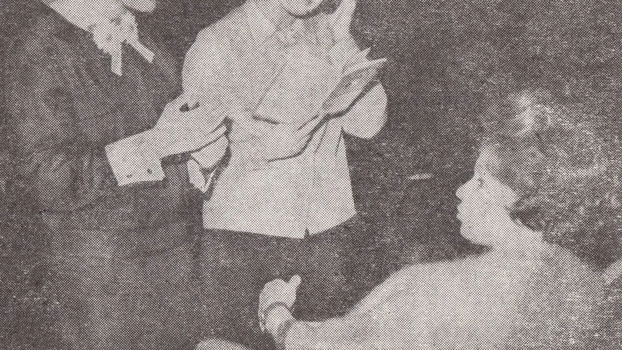 Margareta Paslaru si Anca Agemolu au impartit aceasi camera la Hotel Aro la prima editie a Cerbului de aur