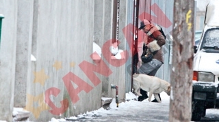 Labradorul i-a stricat buna dispozitie Loredanei