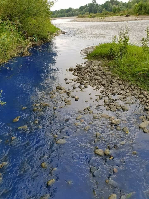 Râul arată de parcă ar fi de cerneală