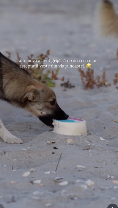 Ramona Păun, gender reveal amuzant. Cum a dezvăluit sexul bebelușului