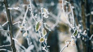 Prognoza meteo azi, 18 martie 2026. Brumă în Transilvania: temperaturile scad sub zero în depresiunile intramontane