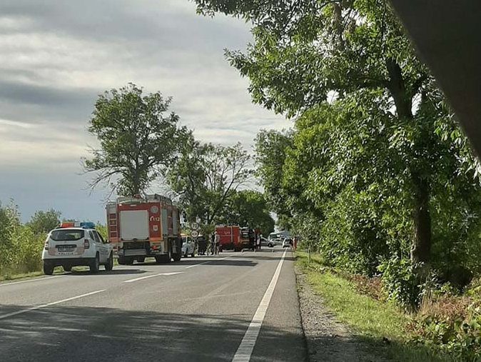 Anamaria Pop a murit într-un accident de mașină înfiorător, produs în județul Maramureș © Radare Maramureș