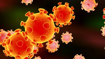 Care sunt, de fapt, cele trei tulpini de coronavirus care s-au răspândit în lume! În SUA, un alt tip de virus a ucis 500.000 de oameni