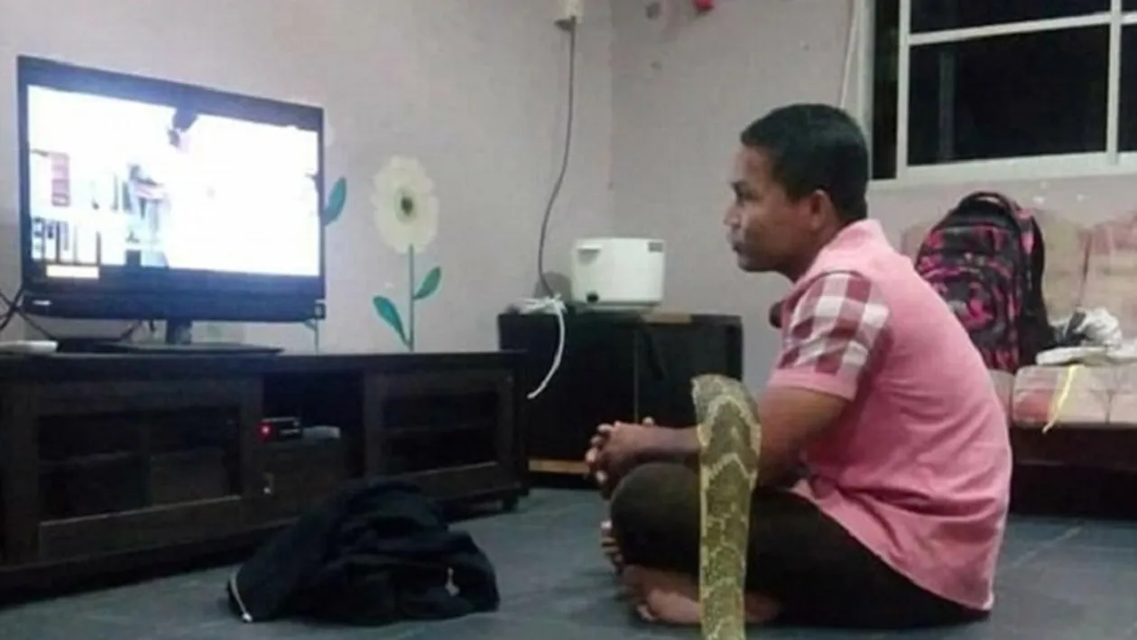 Un bărbat s-a însurat cu cobra lui de 3 metri! Motivul e ULUITOR şi te va EMOŢIONA până la LACRIMI