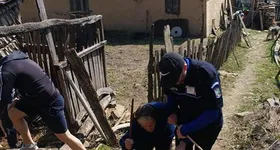 Galerie foto - poza 2