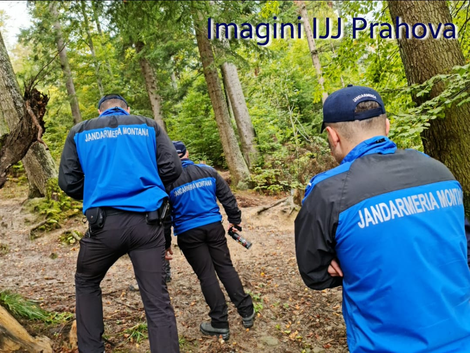 Este alertă în Prahova. Un urs rănit și agresiv a atacat oamenii în zona Bușteni