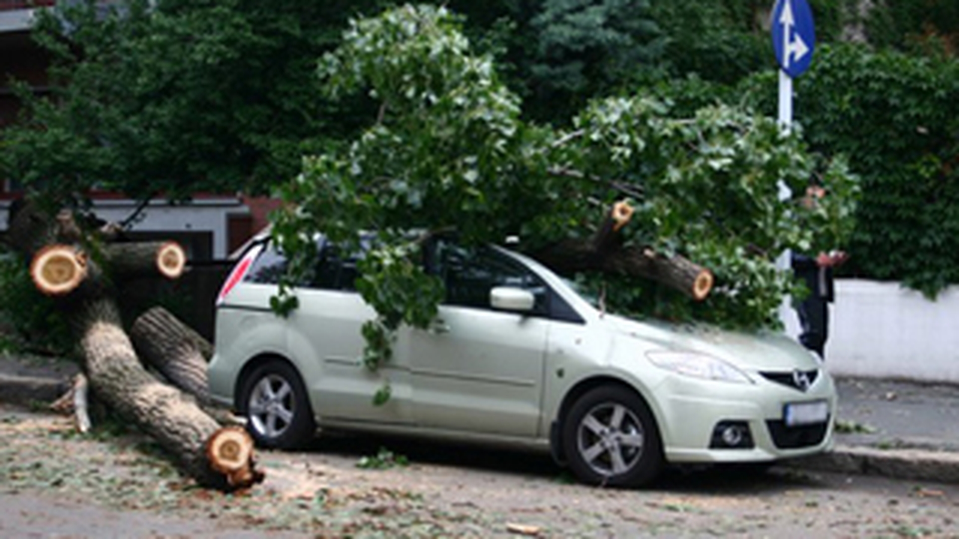 Furtuna a rupt copacii si a smuls acoperisurile unor case din Ploiesti!
