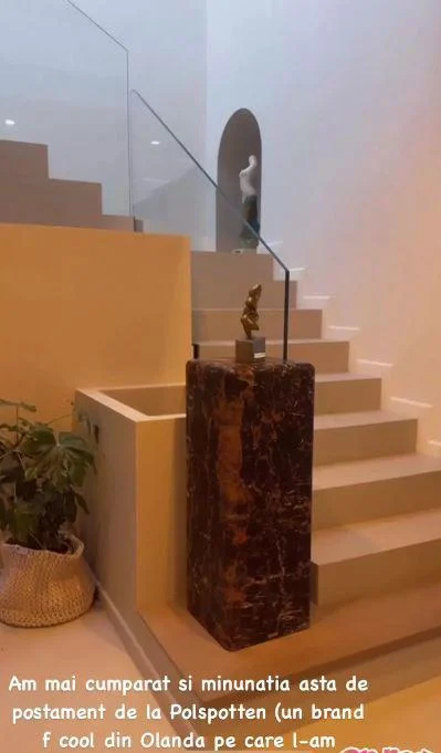 Cum arată vila de lux în care locuiește Alina Pușcaș! Construcția casei impunătoare a durat 4 ani