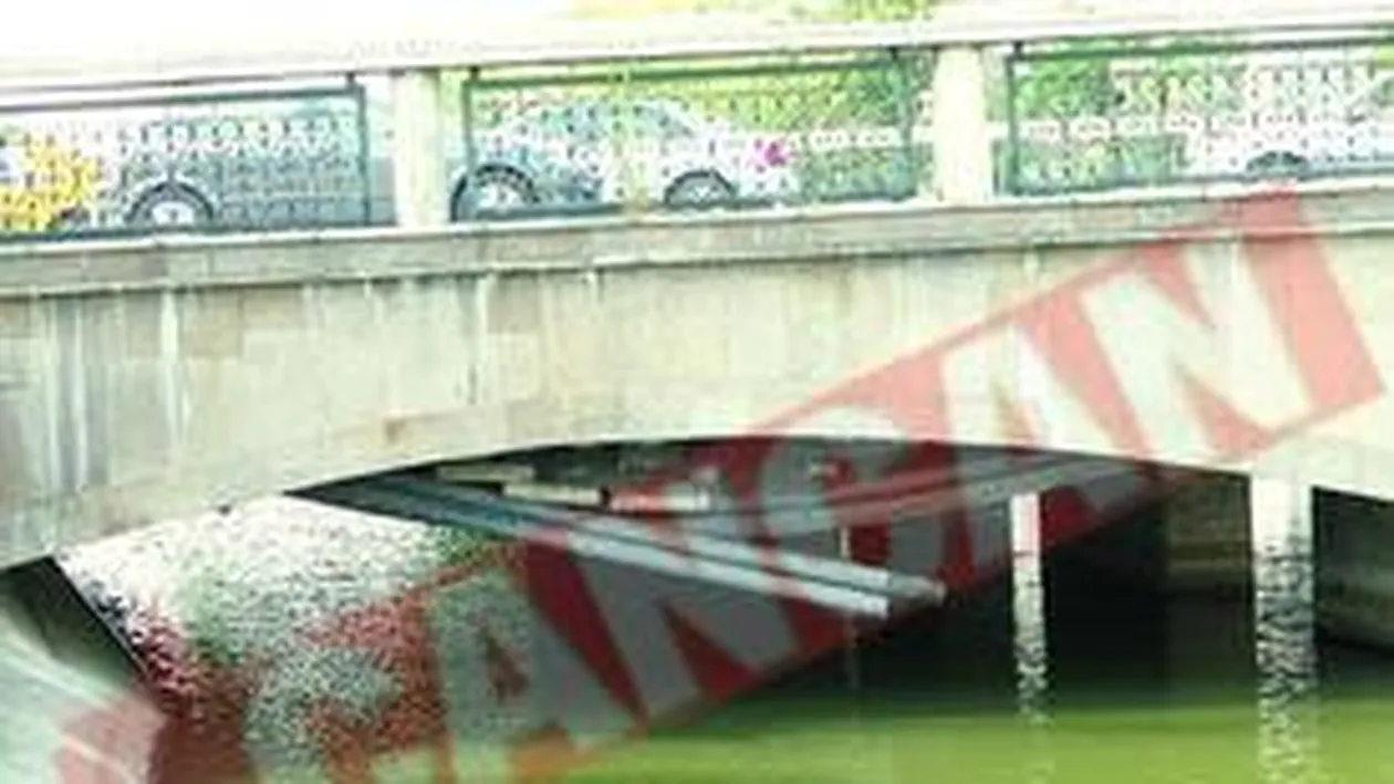 Podul Eroilor, in pericol de prabusire