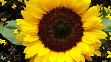 Anul 2012: A inceput Marele val al schimbarii