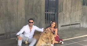 Galerie foto - poza 2