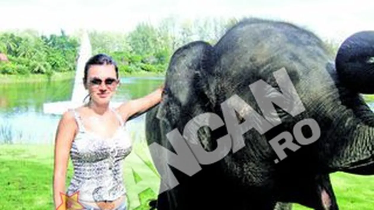 Un elefant i-a urat prosperitate si belsug