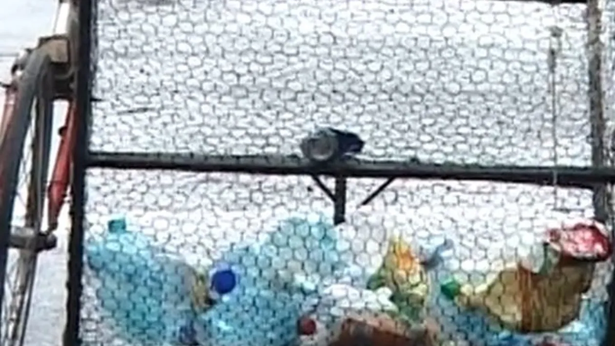 ŞOC la Târgu Jiu! Un nou născut,  ARUNCAT la gunoi ca pe un obiect!