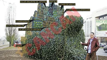 Iata prima gradina verticala din Romania