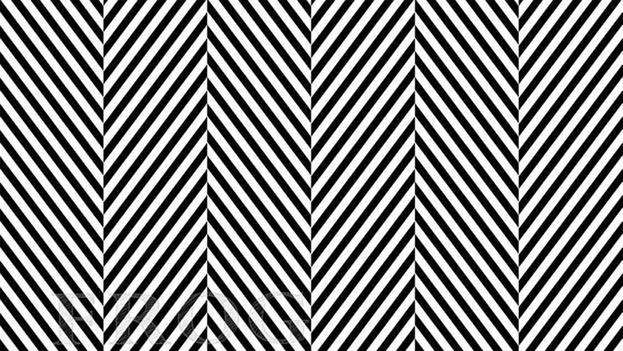 Iluzie optică virală | Ești un geniu dacă ne poți spune ce animal se ascunde în această imagine