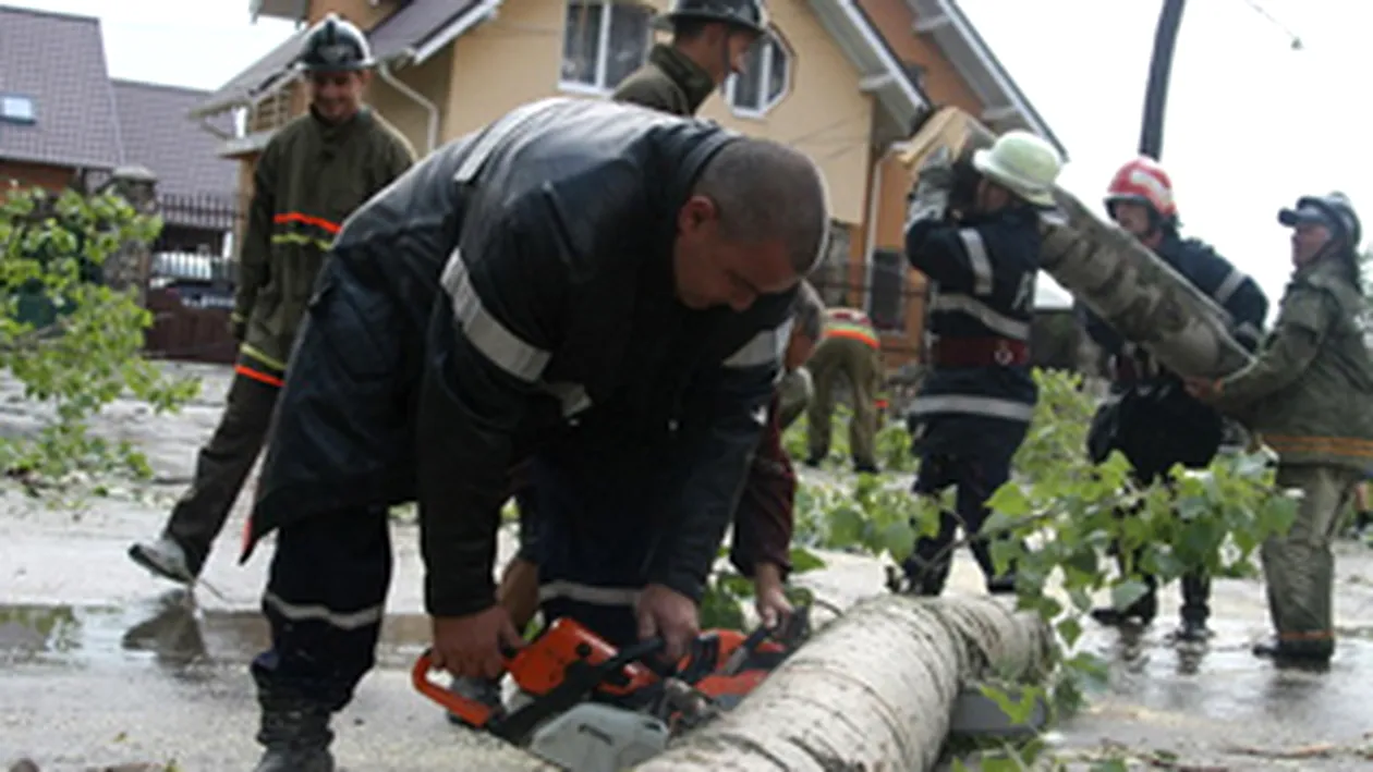 Aproape 500 de pompieri au fost chemati la 140 de cazuri de copaci cazuti in Bucuresti!