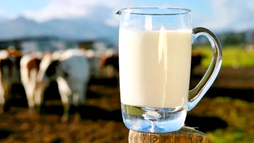 Alertă alimentară în România! Danone retrage de pe piaţă lactate posibil contaminate şi a blocat în depozit 75 tone de produse