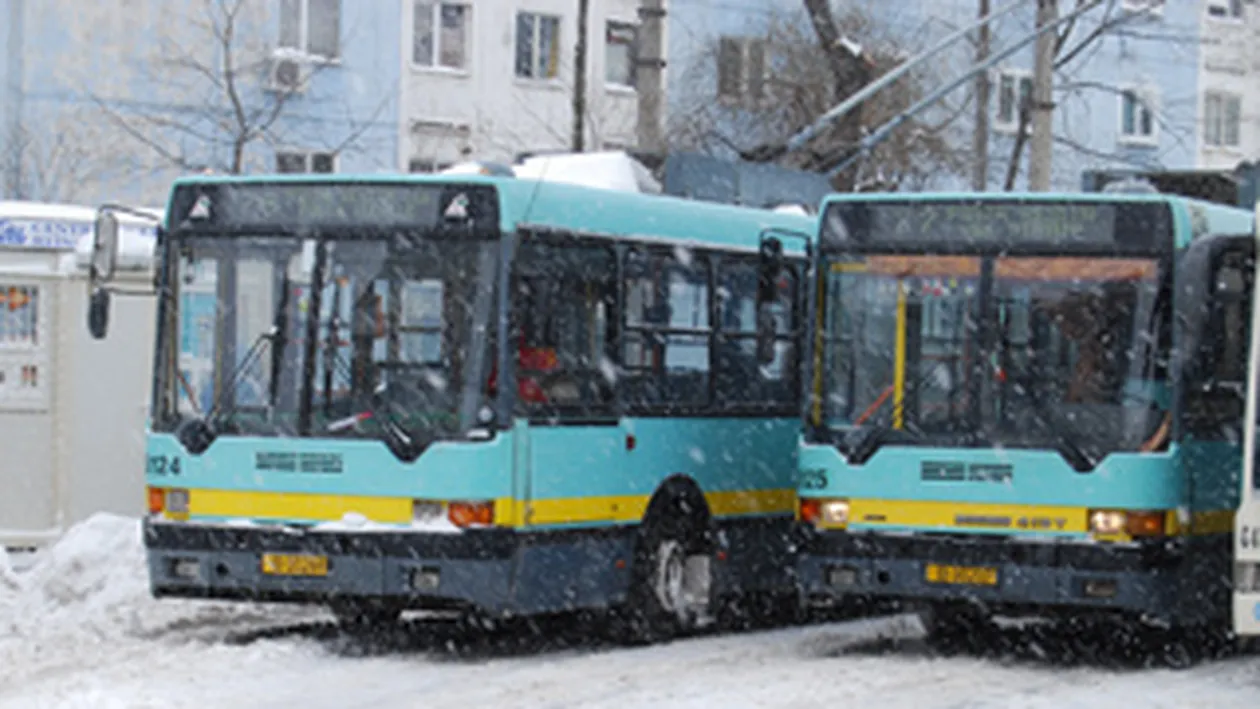 Circulatia troleibuzelor pe Bulevardul Regina Elisabeta a fost blocata de un copac cazut peste liniile electrice!