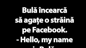 BANC | Bulă încearcă să agațe o franțuzoaică pe Facebook
