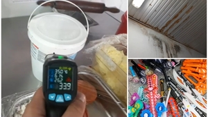 Dezastru pe litoral, ANPC a dat amenzi de peste 12 milioane de lei! Incredibil ce au găsit inspectorii sanitari în Mamaia și Vama Veche
