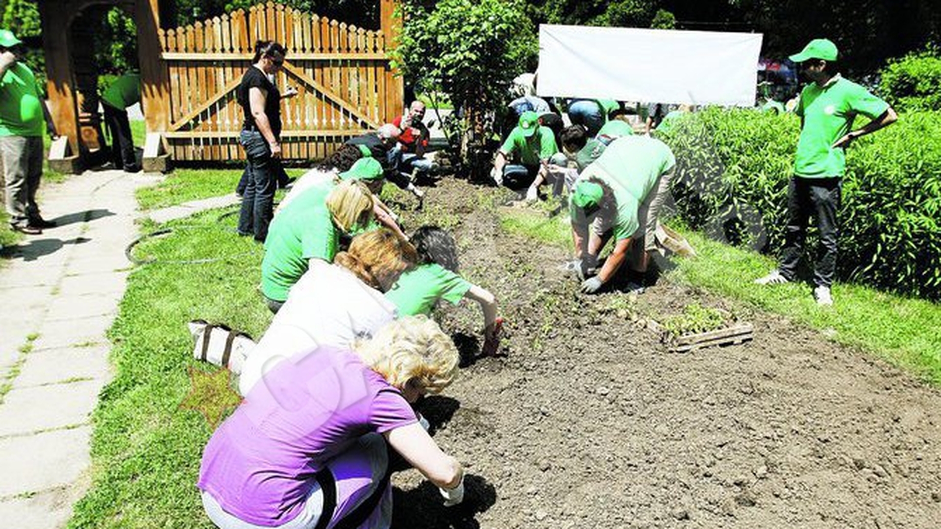 ALPAB, fabrica de plante a orasului